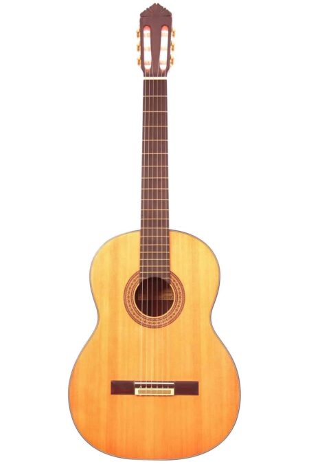 Gerundino Fernandez 1992