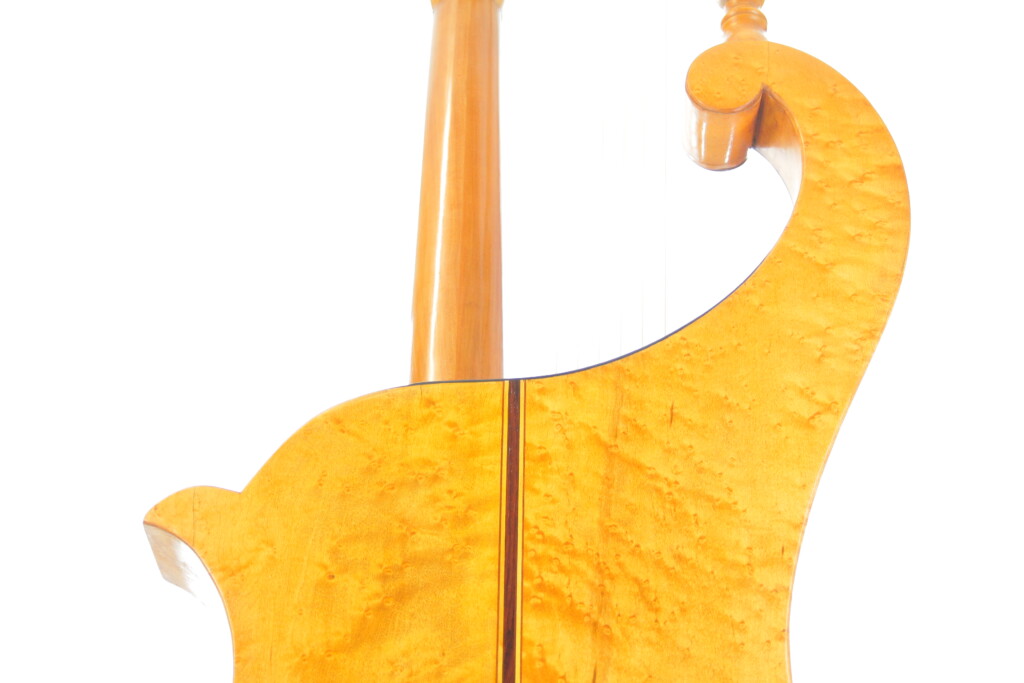 Albertus Blanchi 1900 Harp Guitar