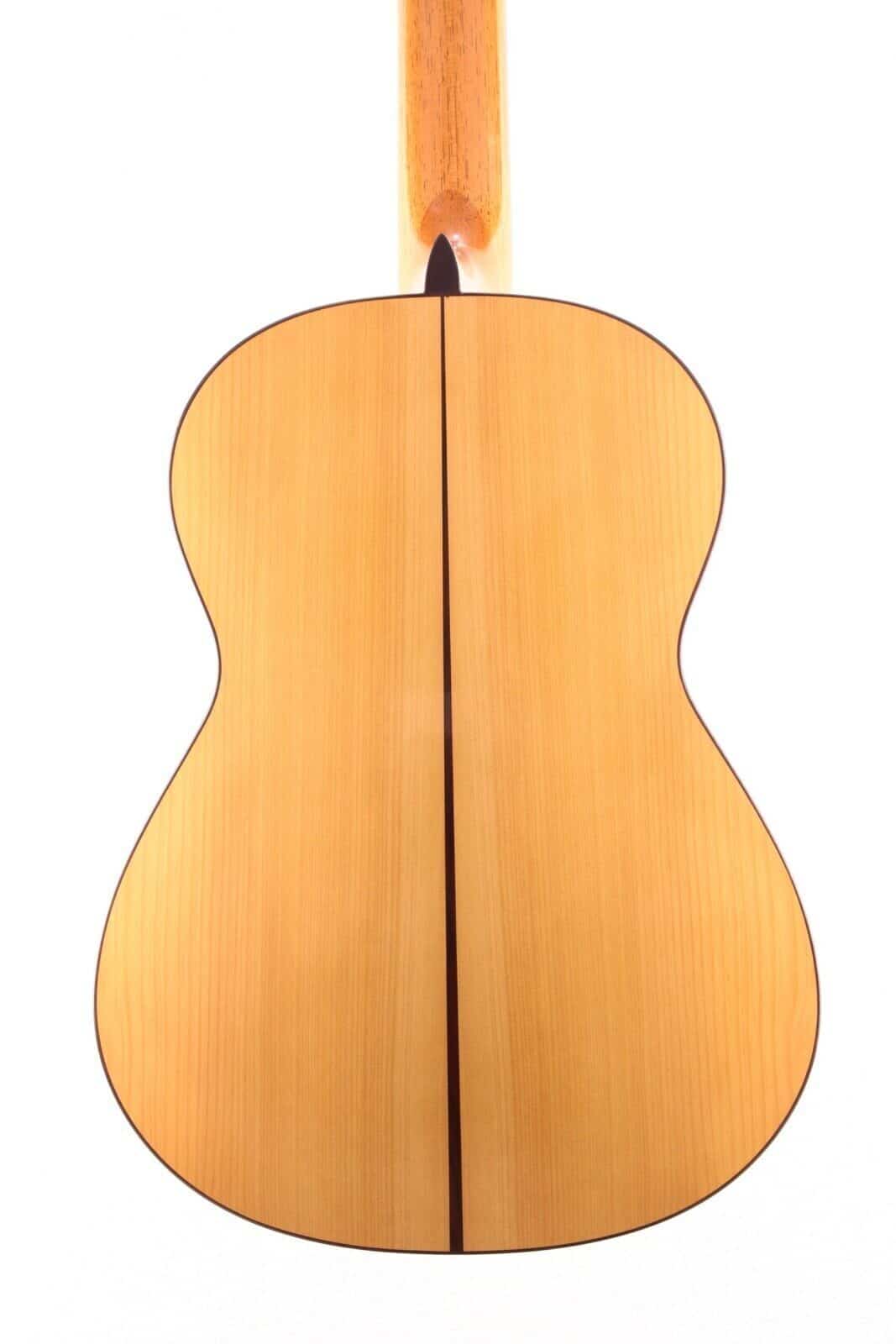 Antonio Marin Montero 2011 Flamenco