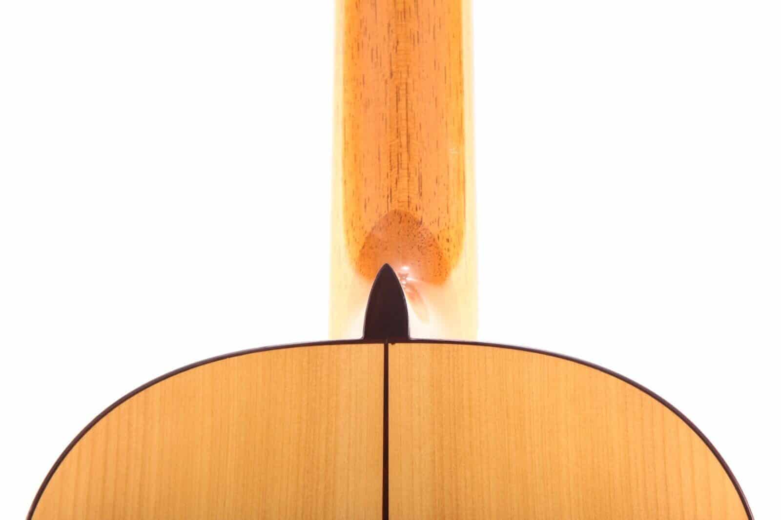 Antonio Marin Montero 2011 Flamenco