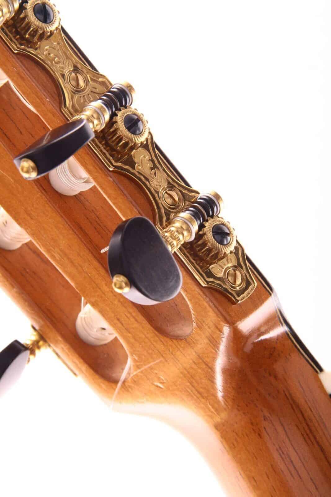 Antonio Marin Montero 2011 Flamenco