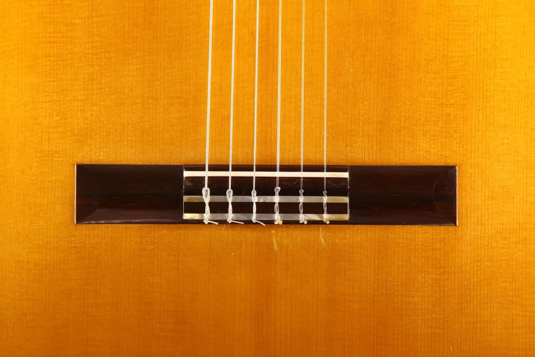 Jose Marin Plazuelo Bouchet Model