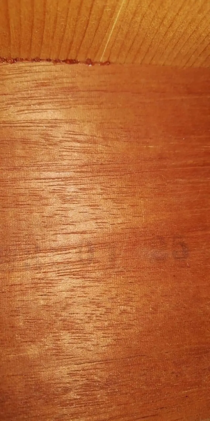 Gibson Country Western 1956