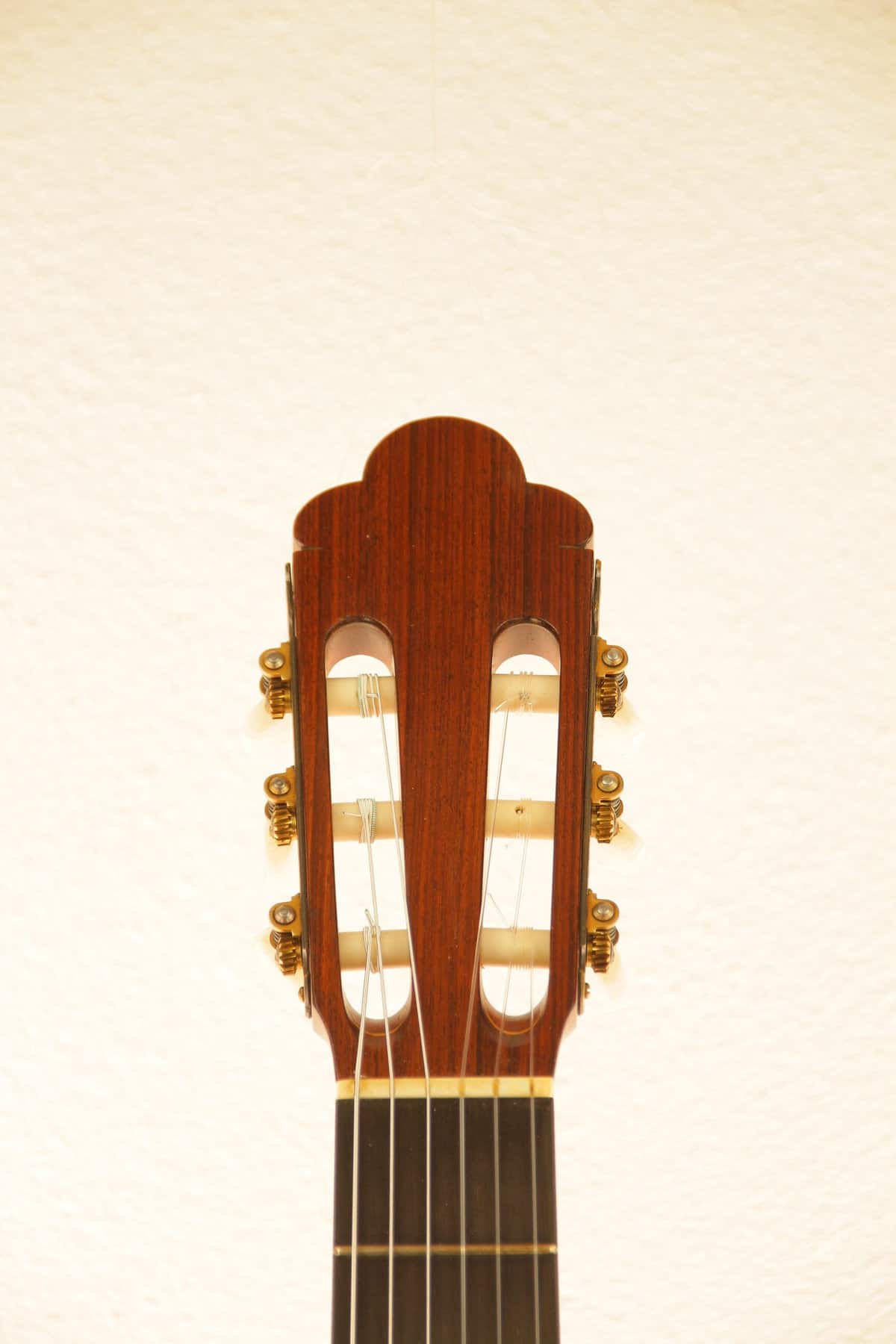 Jose Marin Plazuelo Bouchet Model