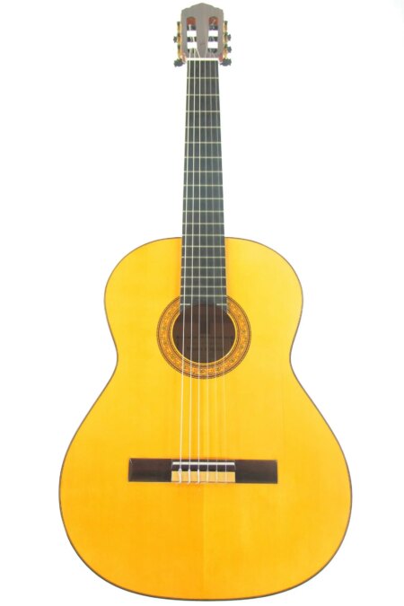 Vicente Carrillo 2012