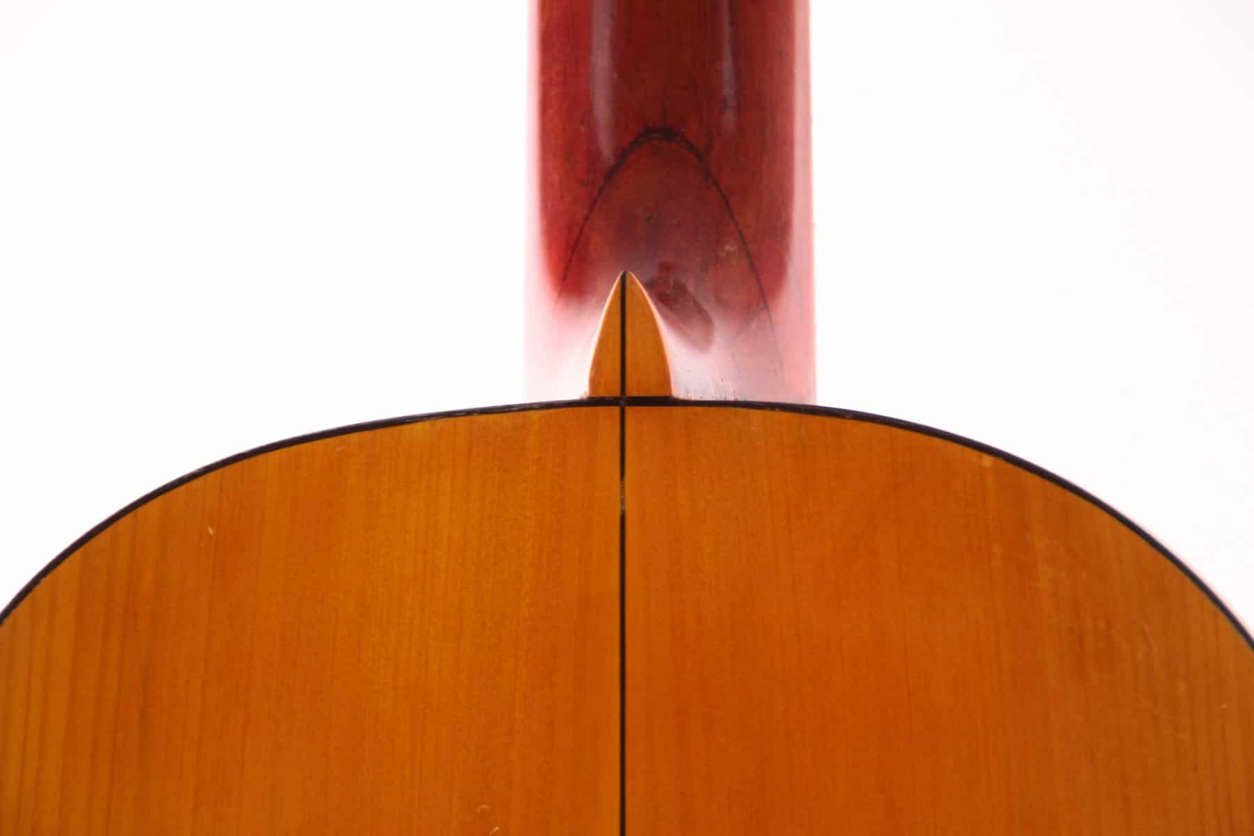 Santos Hernandez 1929