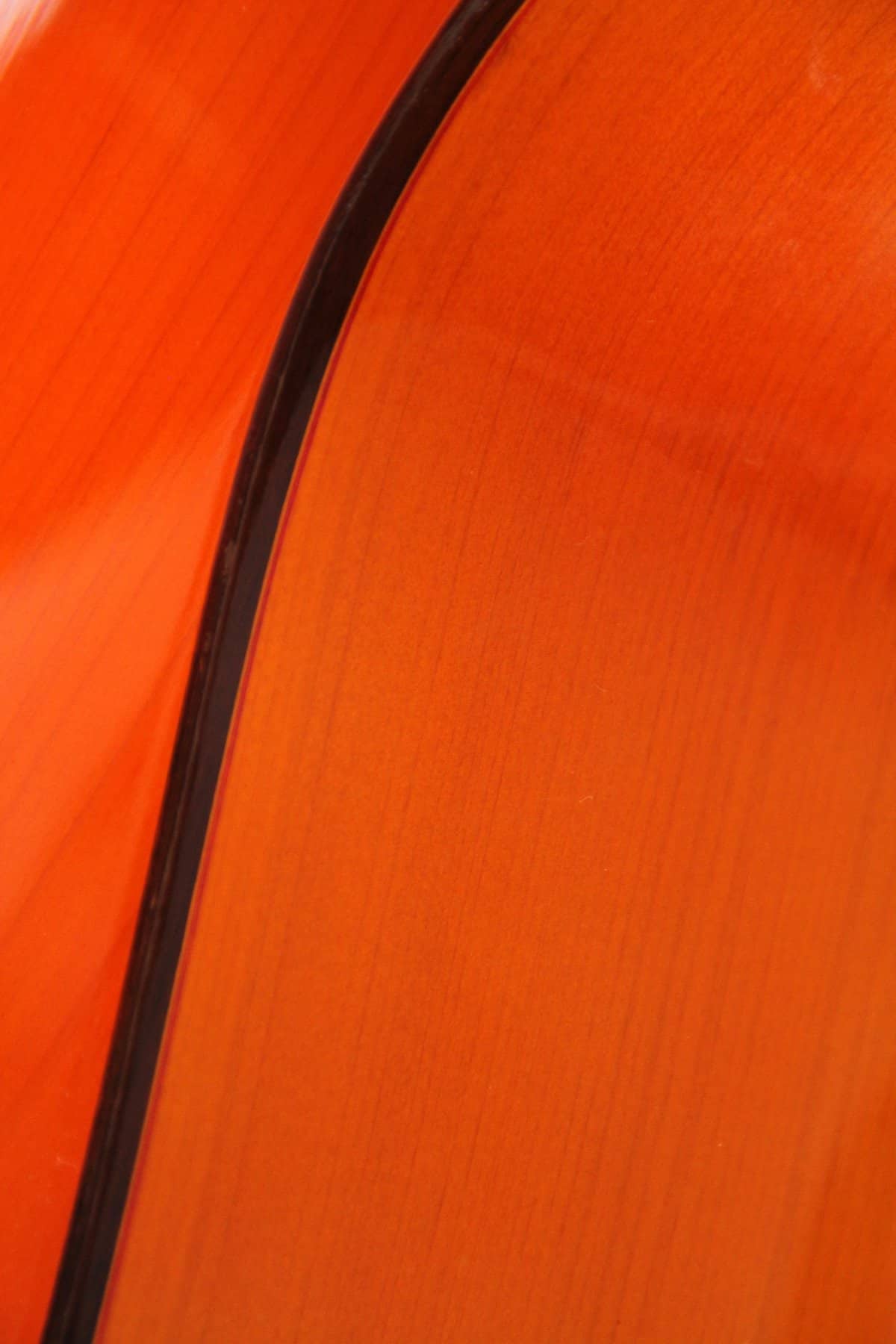 Ricardo Sanchis Carpio 1998