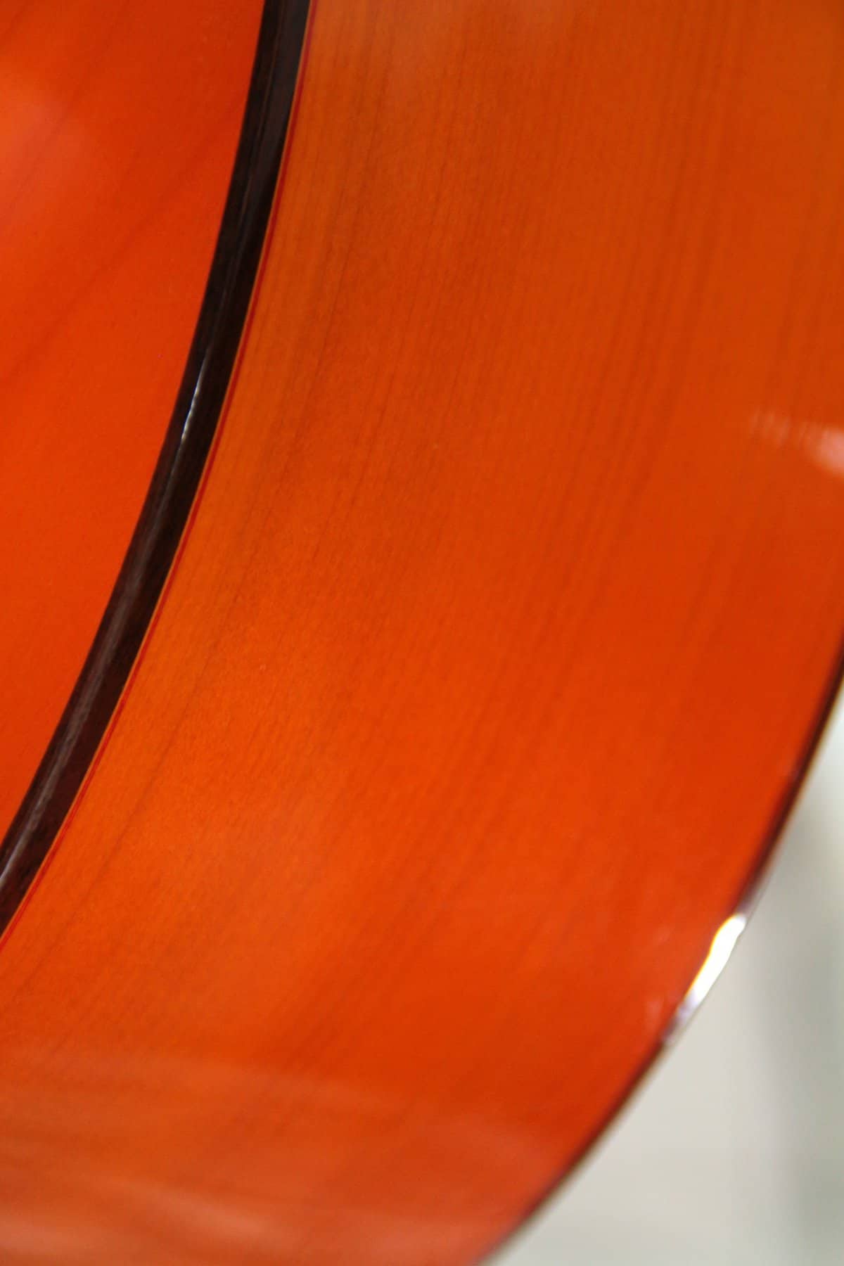 Ricardo Sanchis Carpio 1998