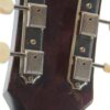 IMG 0262 100x100 - Gibson J-45 1955