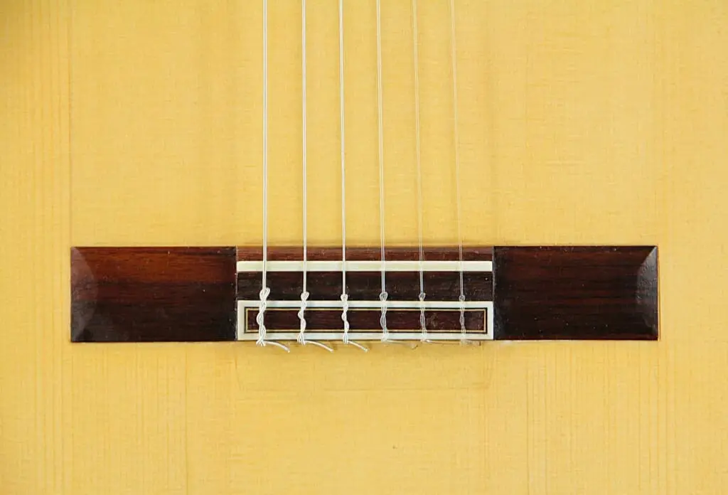 Juan Fernandez Utrera 2021 Cypress Cutaway