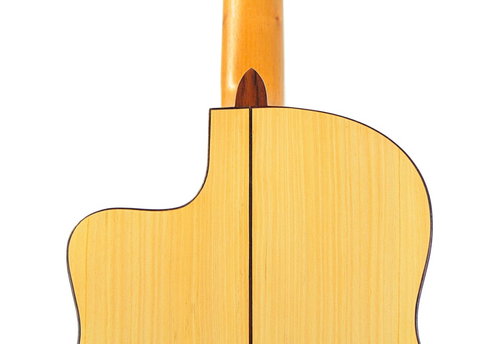 Juan Fernandez Utrera 2021 Cypress Cutaway