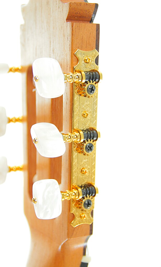 Juan Fernandez Utrera 2021 Cypress Cutaway