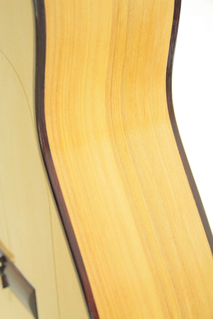 Juan Fernandez Utrera 2021 Cypress Cutaway