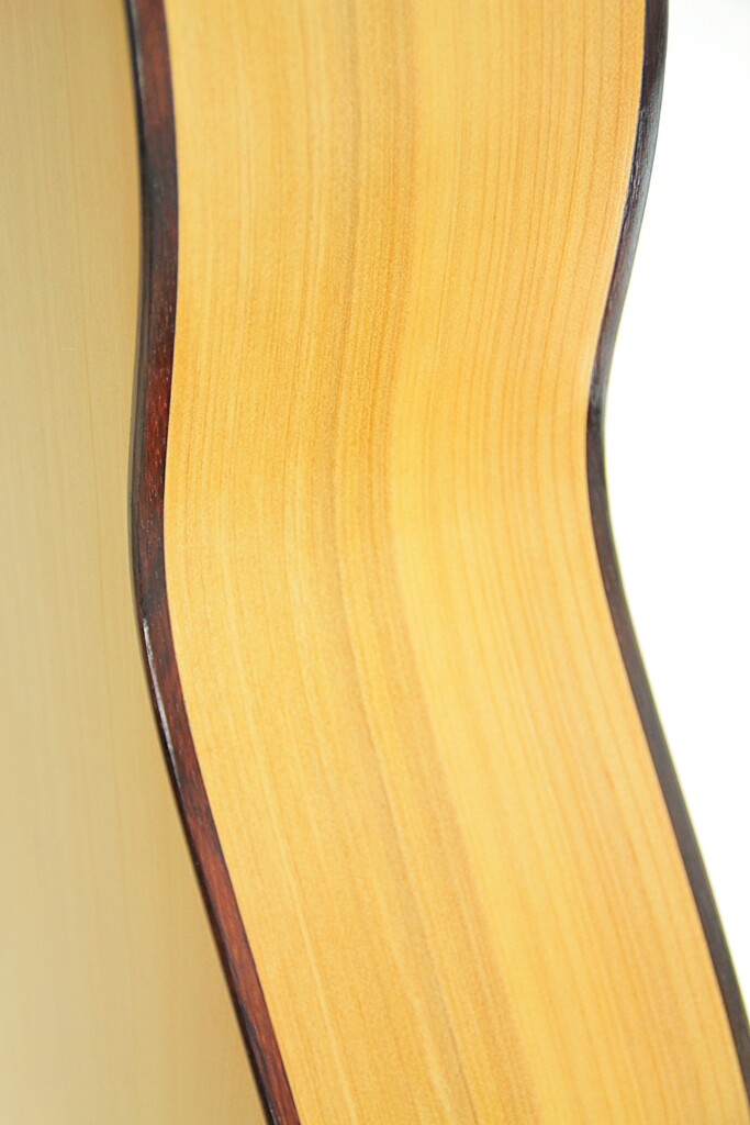 Juan Fernandez Utrera 2021 Cypress Cutaway