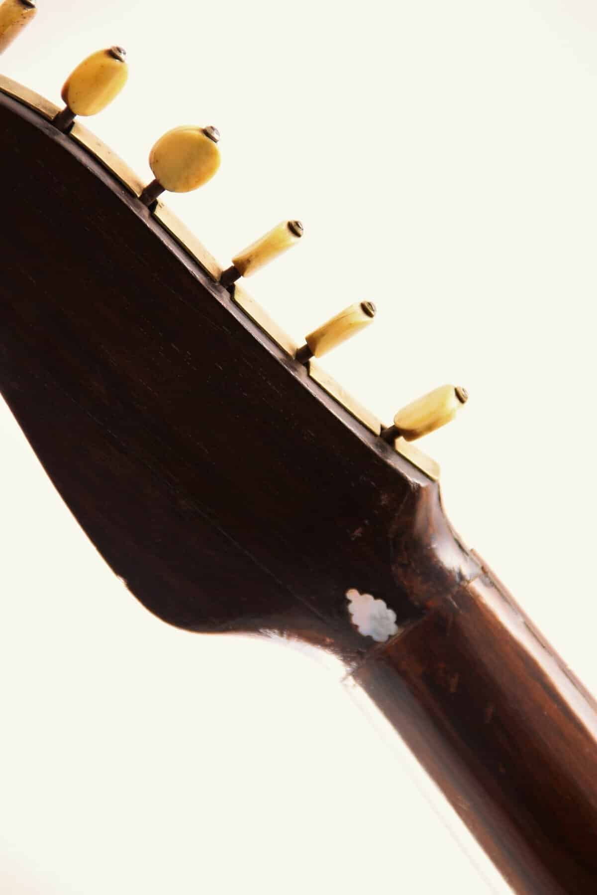 Federico E Salvatore De Falco 1897 &Quot;Vinaccia&Quot;