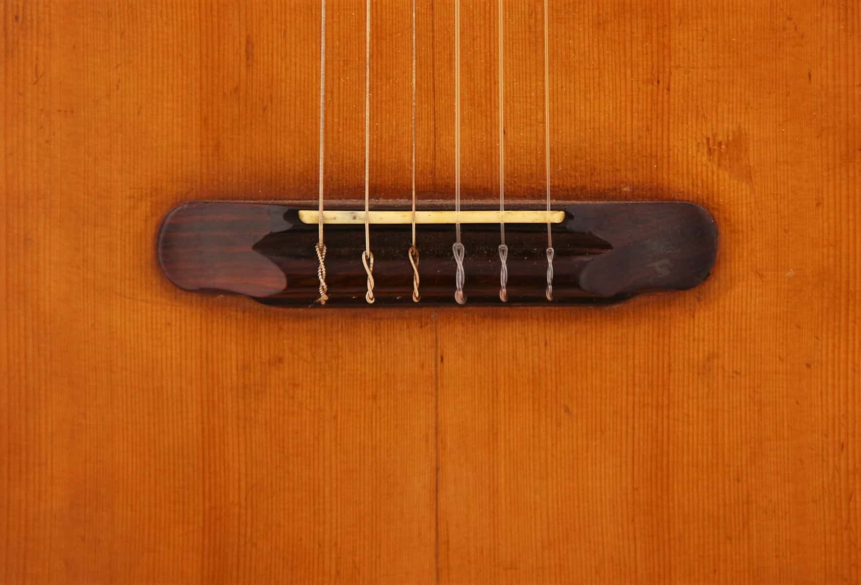 Raffaele Calace 1924