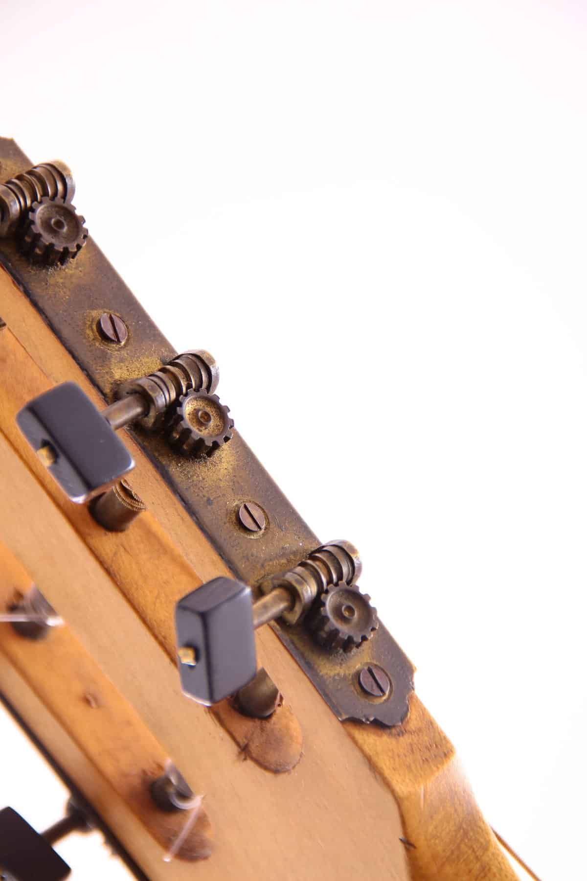 Raffaele Calace 1924