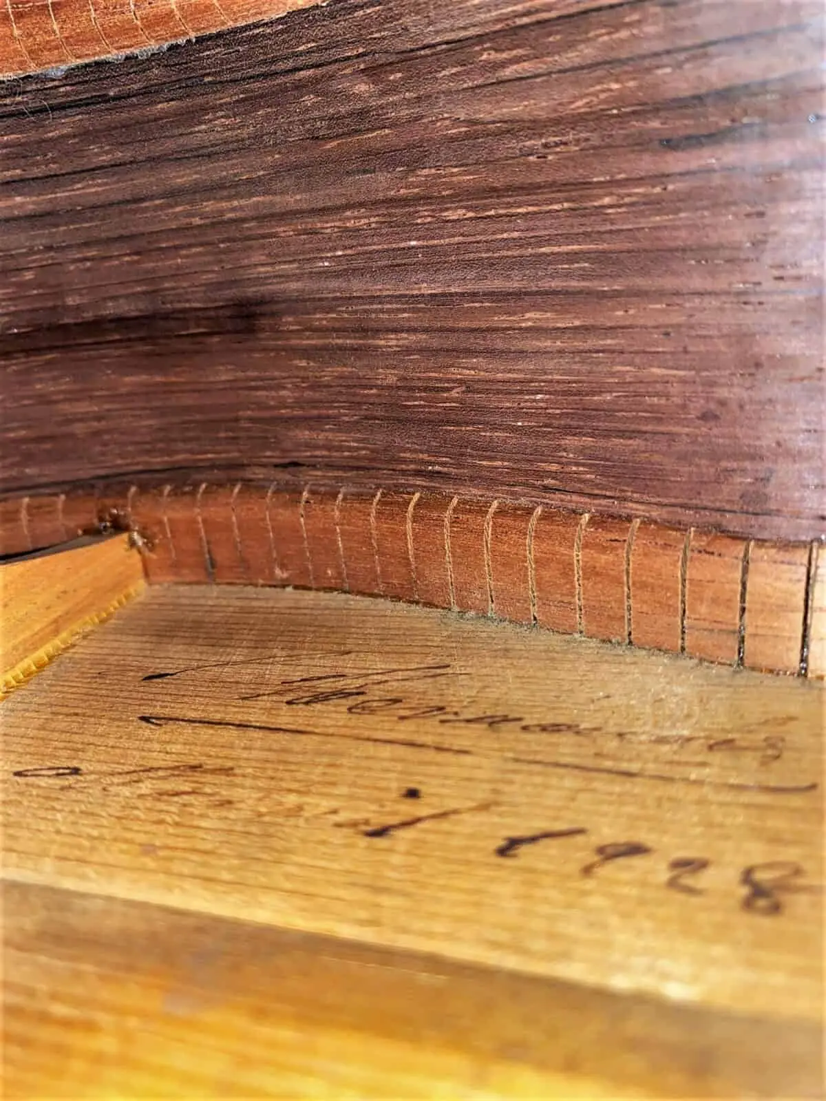 Santos Hernandez 1928