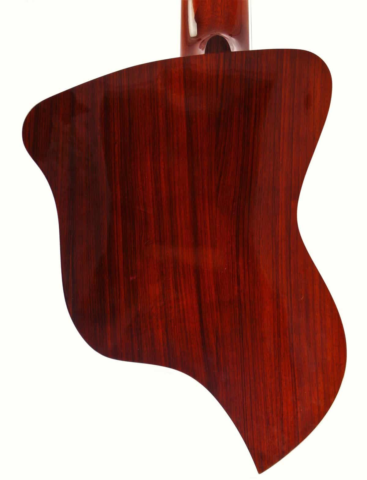 Dieter Hopf 12-String Contra Guitar 1973