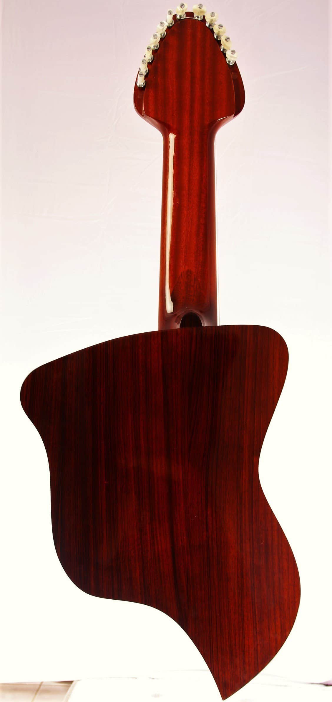 Dieter Hopf 12-String Contra Guitar 1973