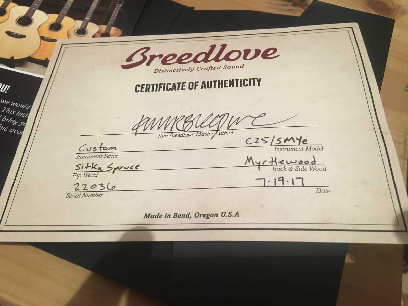 Breedlove Custom Ce (Masterclass)