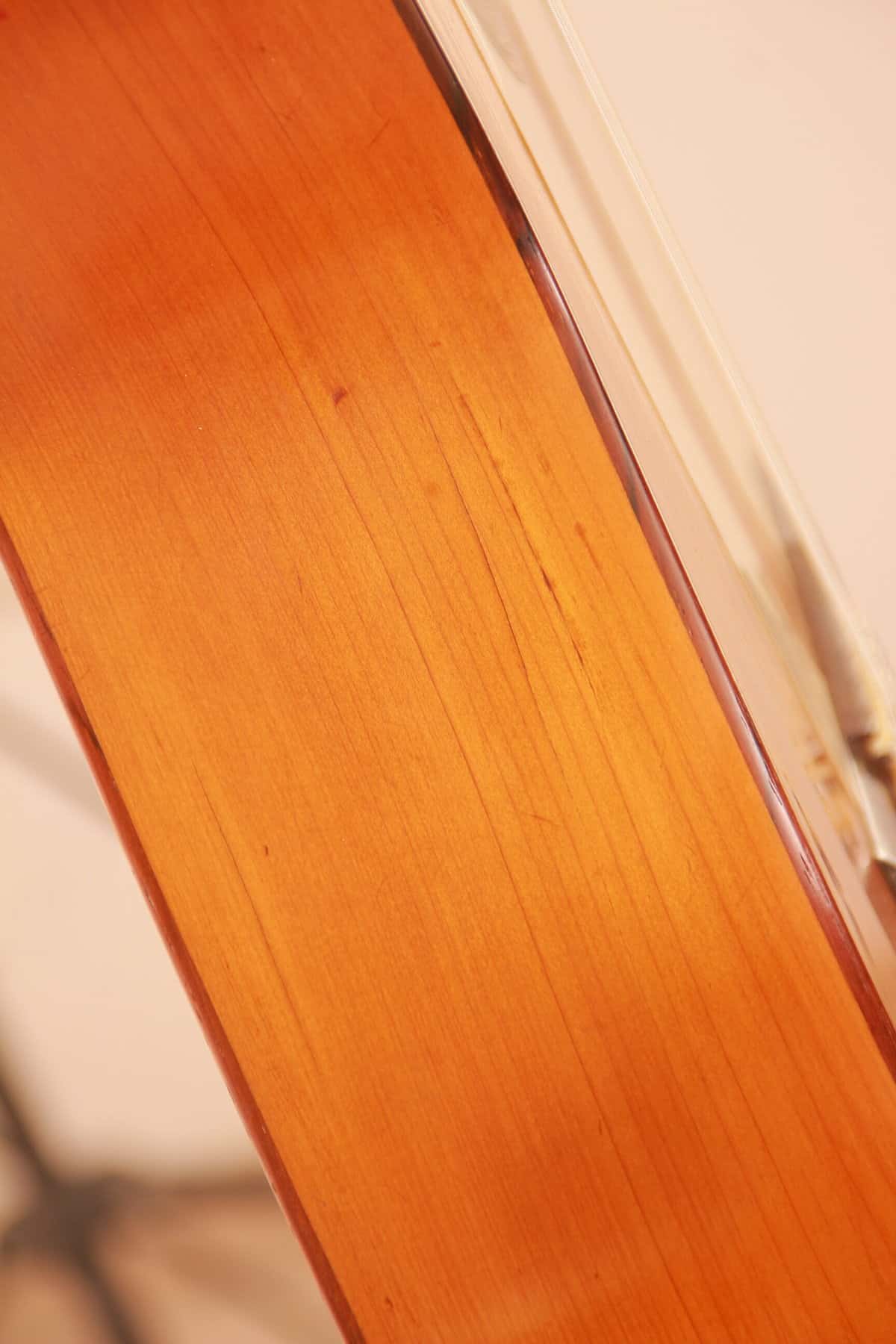 Santos Hernandez 1919