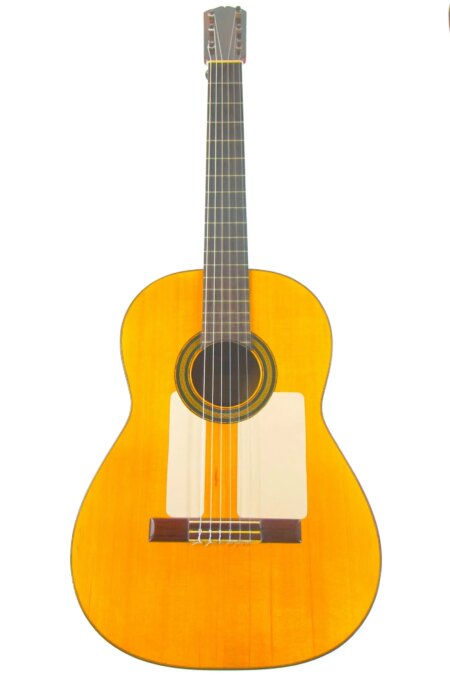 Santos Hernandez 1919