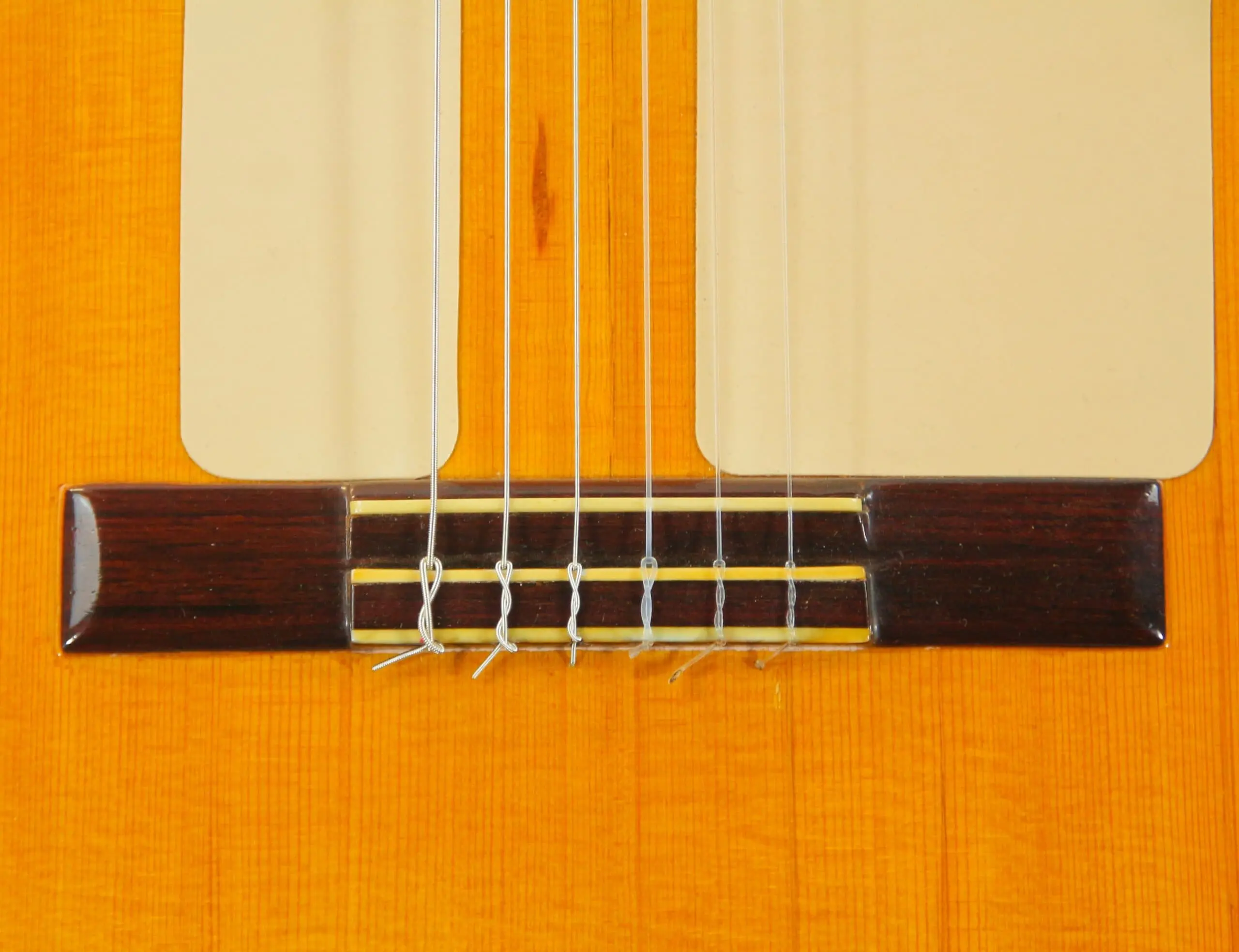 Santos Hernandez 1919