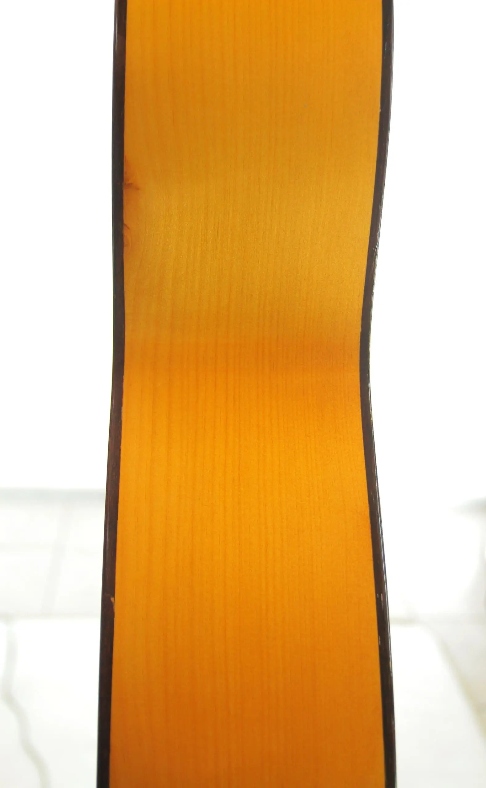 Santos Hernandez 1919