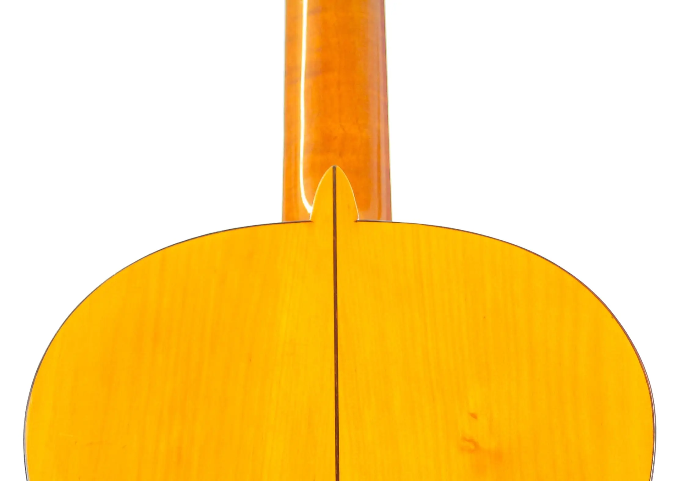 Santos Hernandez 1919