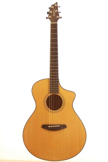 Breedlove Custom CE (Masterclass)