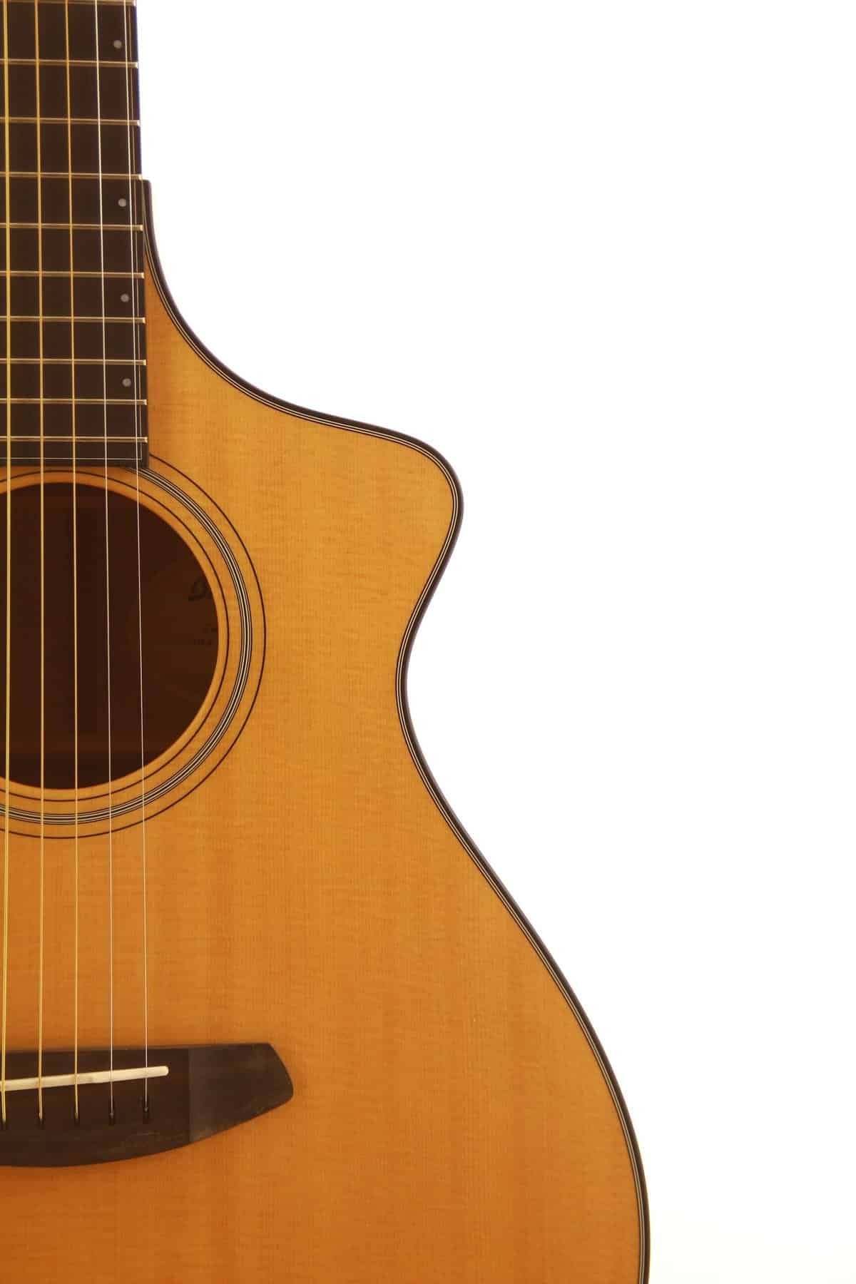 Breedlove Custom Ce (Masterclass)