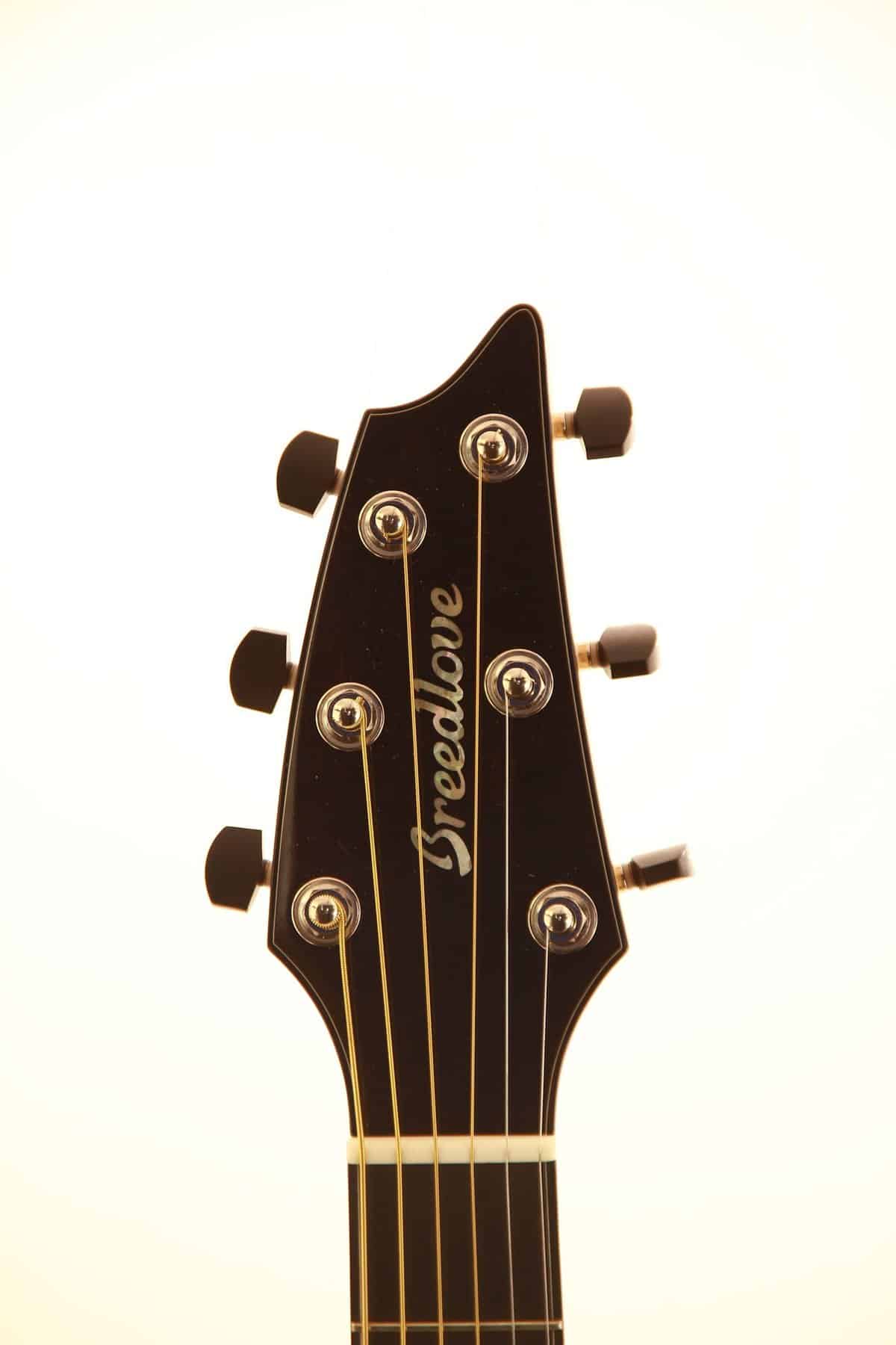 Breedlove Custom Ce (Masterclass)