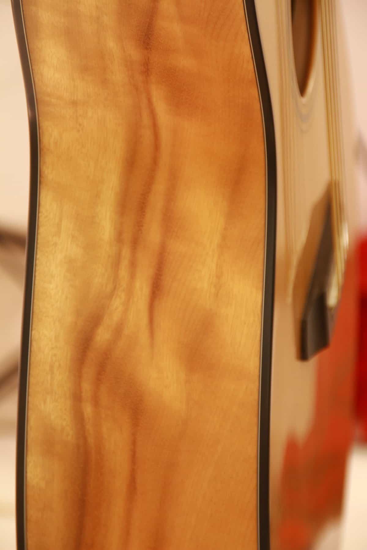 Breedlove Custom Ce (Masterclass)