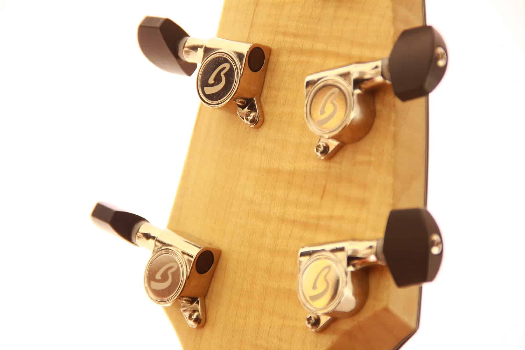 Breedlove Custom Ce (Masterclass)