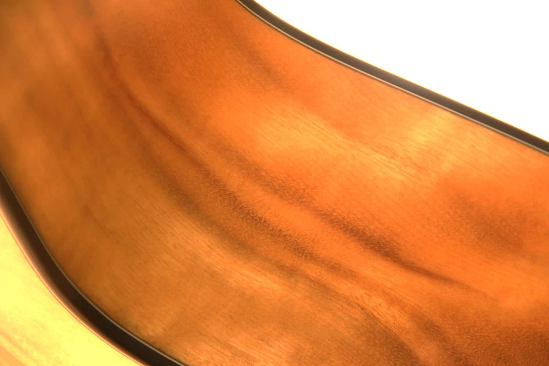 Breedlove Custom Ce (Masterclass)