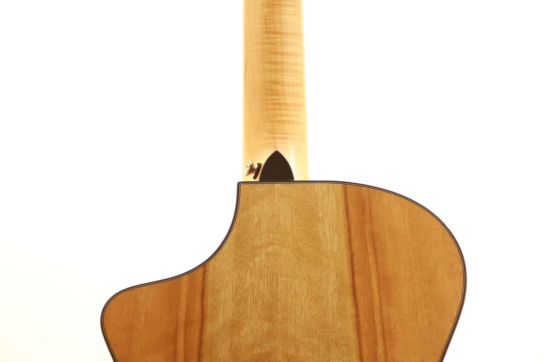 Breedlove Custom Ce (Masterclass)