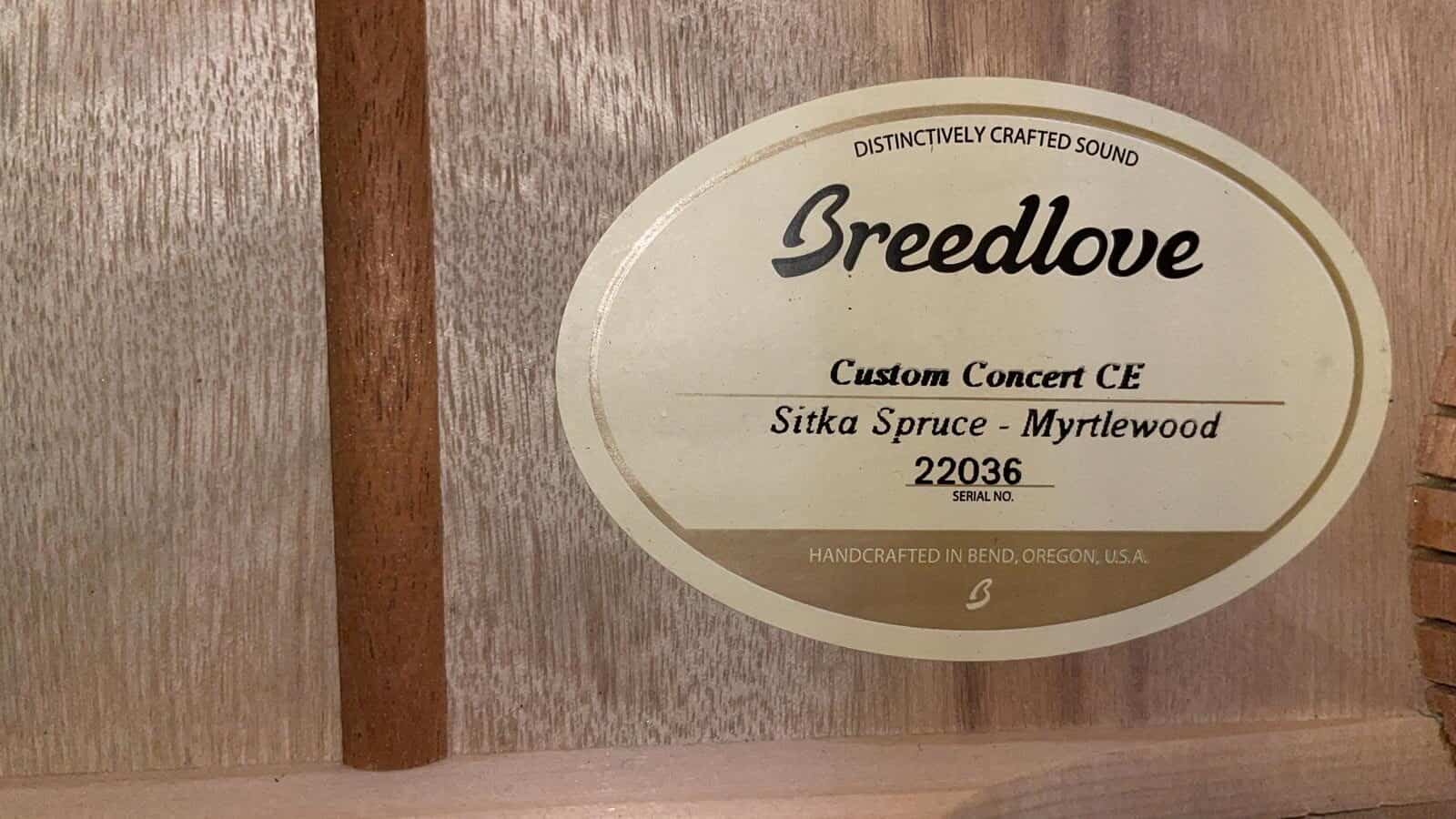 Breedlove Custom Ce (Masterclass)