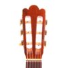 IMG 0010 1 100x100 - Guitarra "Torres" 1932