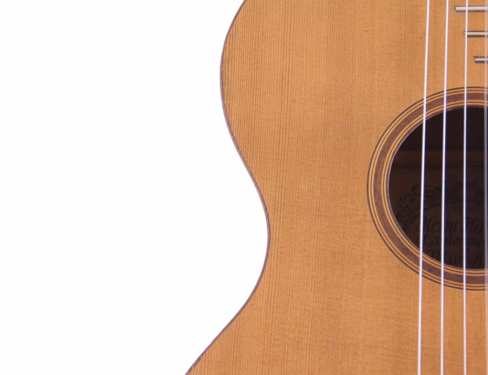 Hermann Hauser I 1917 &Quot;Guadagnini&Quot;