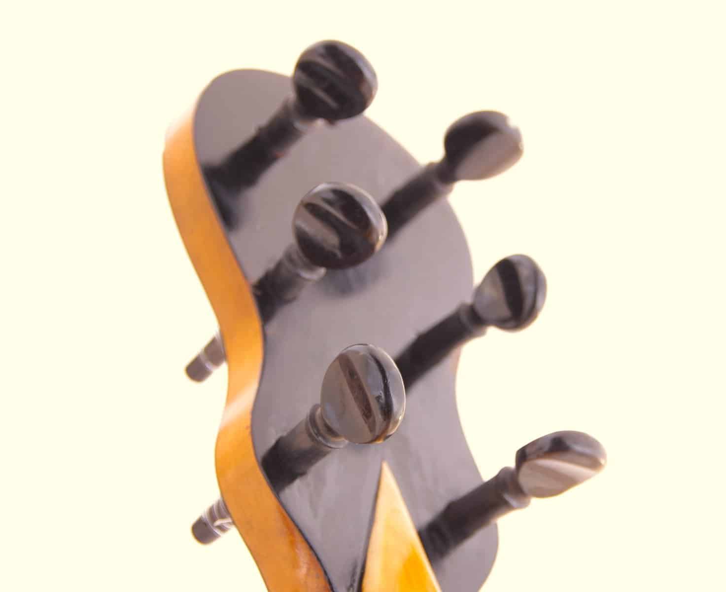 Hermann Hauser I 1917 &Quot;Guadagnini&Quot;