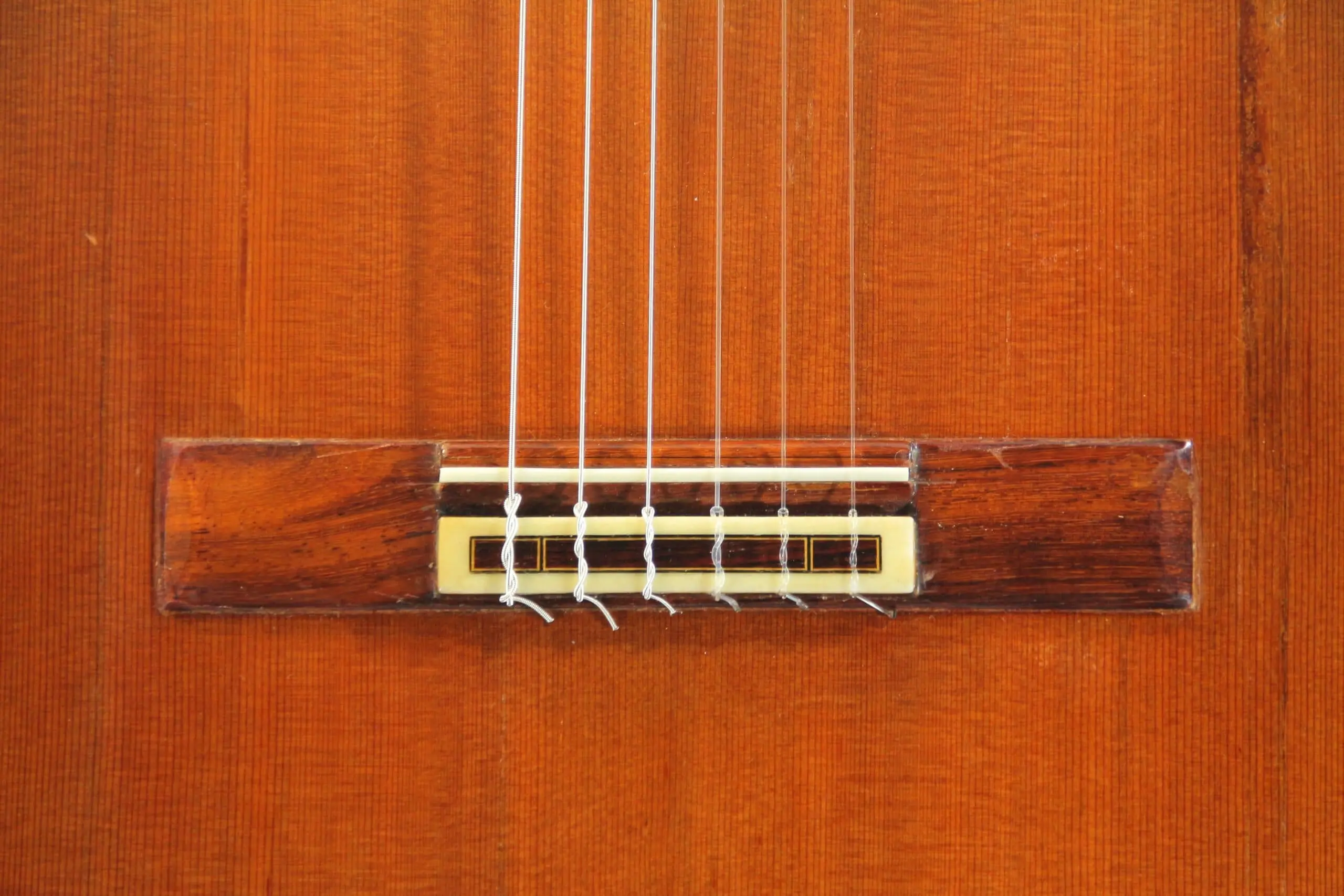 Francisco Manuel Diaz 1980