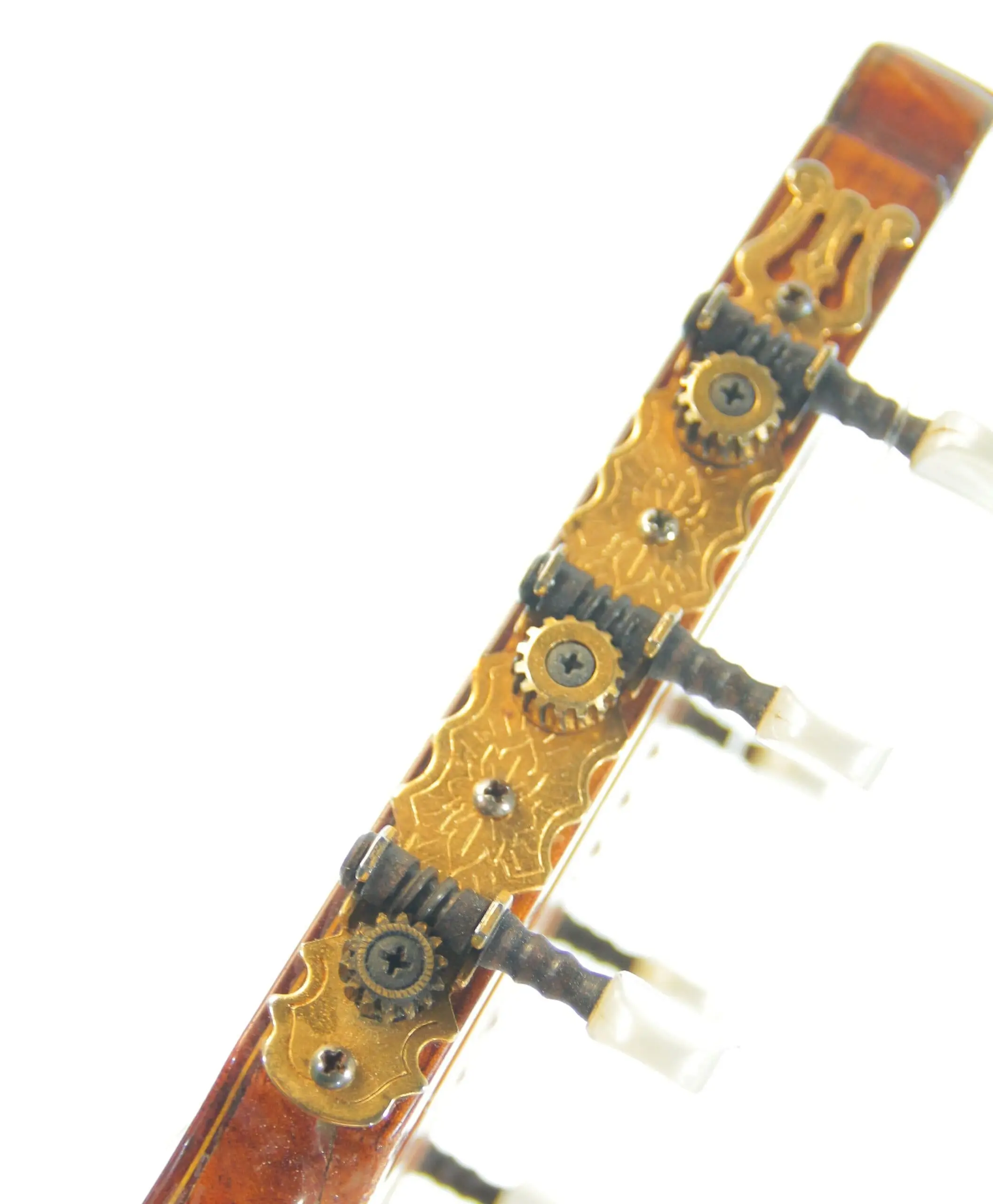 Francisco Manuel Diaz 1980