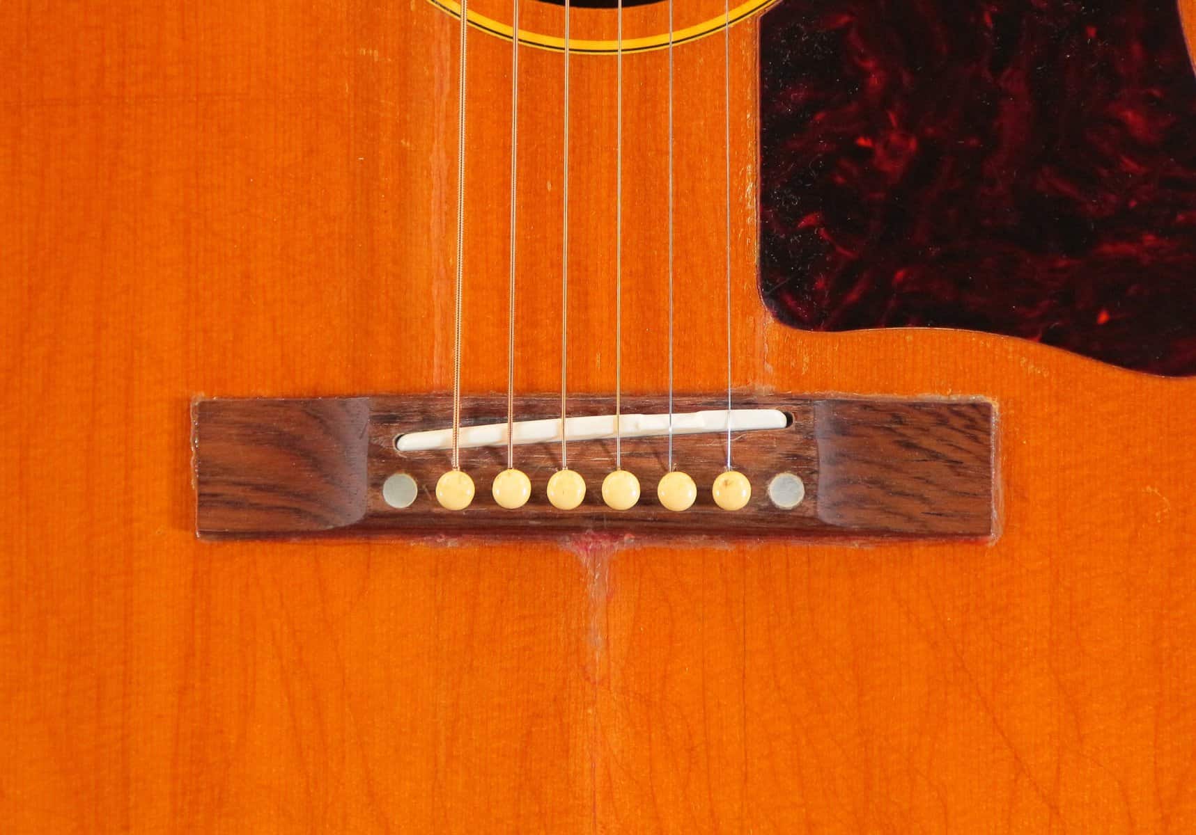 IMG 0426 1 - Gibson LG-3 1959