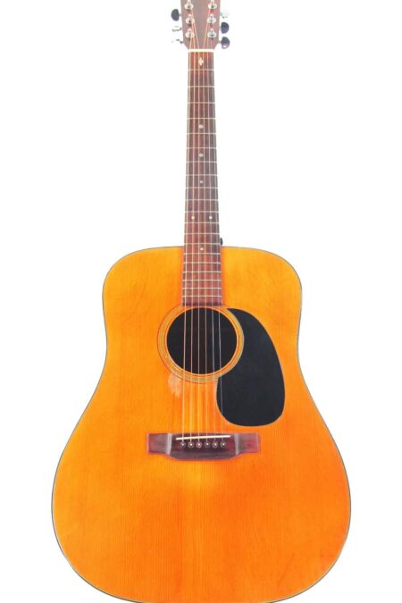 Martin D-18 1969
