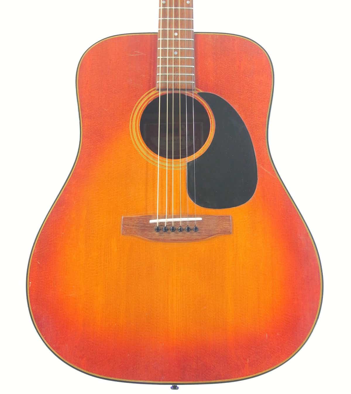 IMG 0134 - Gibson J-45 Deluxe 1970