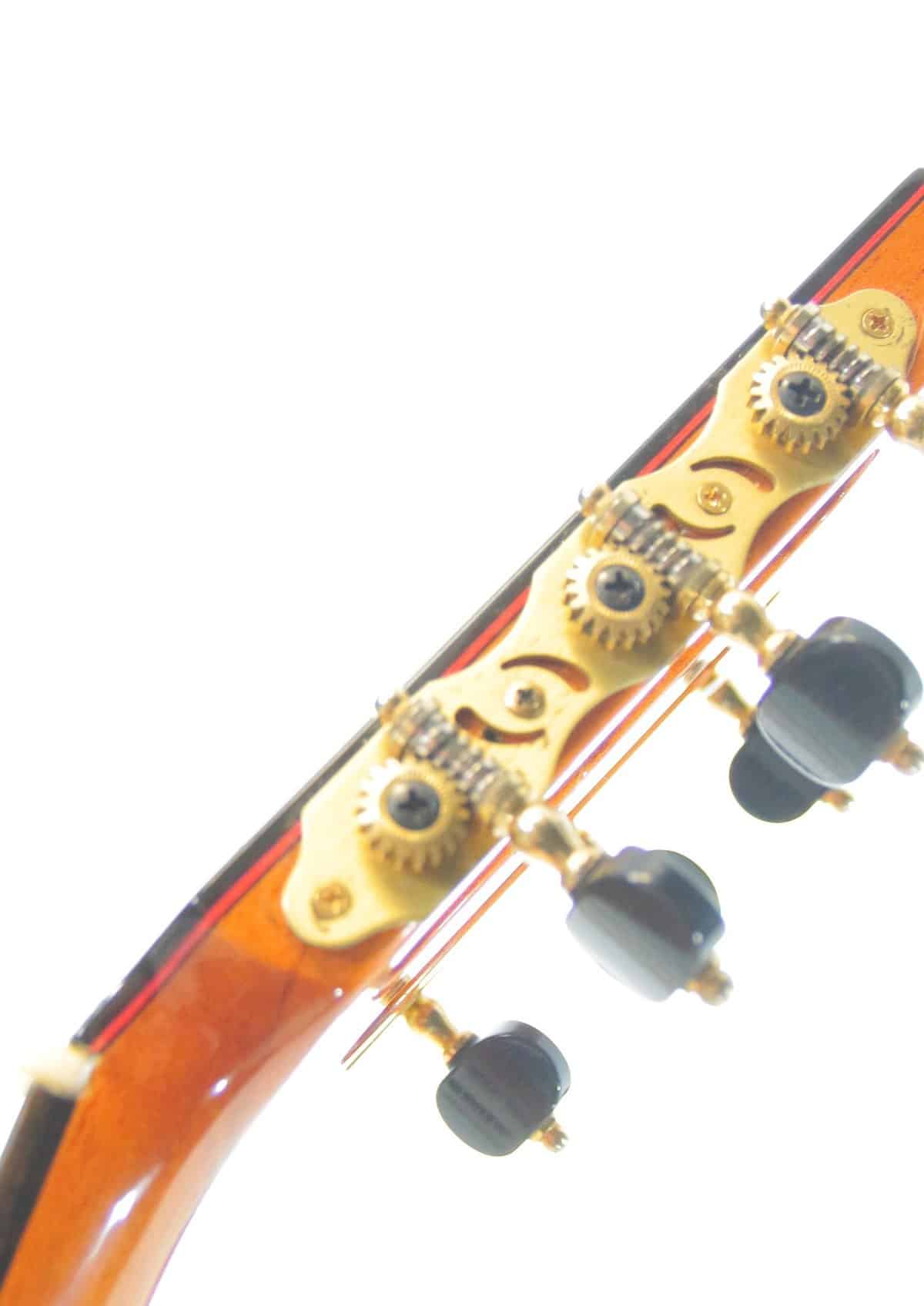 Antonio Pisa 2017 – Bild 7