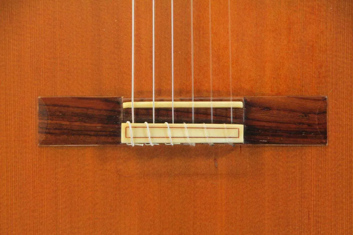 Gerardo Escobedo 2016