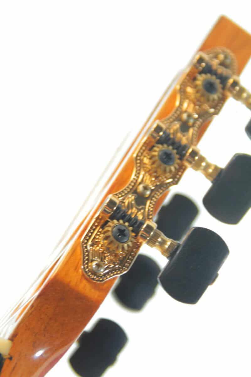 Gerardo Escobedo 2016