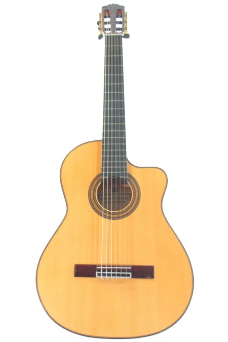 Antonio Sanchez FCWE "Gypsy Kings"